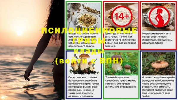 не бодяженный Алексин