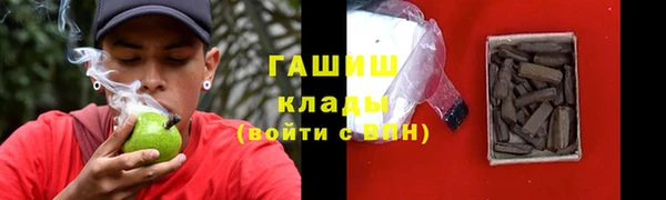 дмт Алзамай
