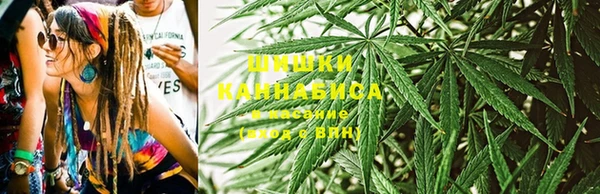 дмт Алзамай
